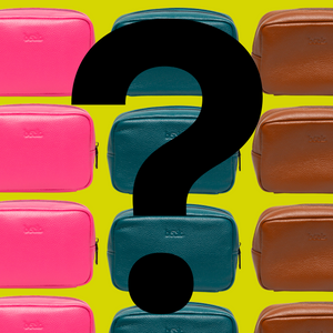 Mystery Travel Pouch